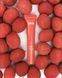Lipper - блеск Lychee Spritz Lipss - 1